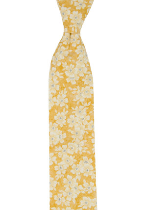 AFFECTIONATE YELLOW corbata para niños medianos