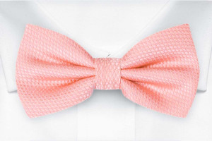 BIRDSEYE Pale pink pajarita