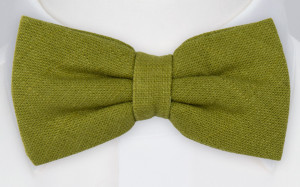 BITTERSWEET Green pajarita