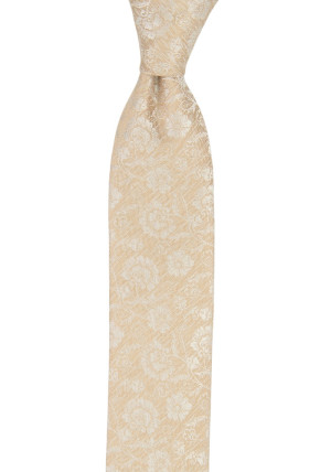 ENCHANTMENT CHAMPAGNE corbata para niños medianos