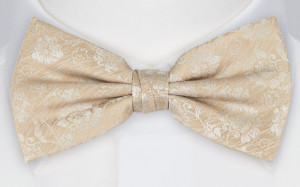 ENCHANTMENT CHAMPAGNE pajarita