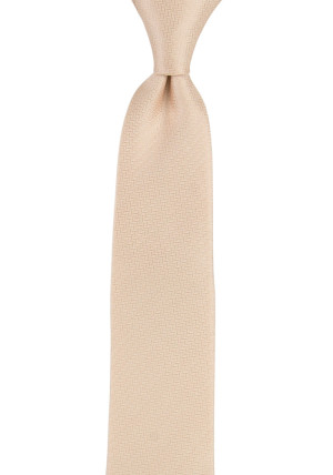 Espousal Champagne Pink corbata para niños medianos