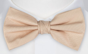Espousal Champagne Pink pajarita