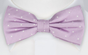 FESTLIG PURPLE pajarita