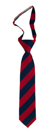 HYVENS RED corbata pequeña pre-atada niño
