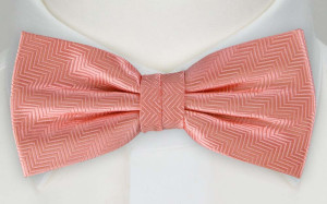DRUMMEL CORAL pajarita