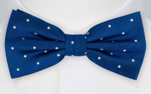 FESTLIG COBALT pajarita