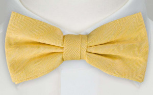 OGONSTEN YELLOW pajarita