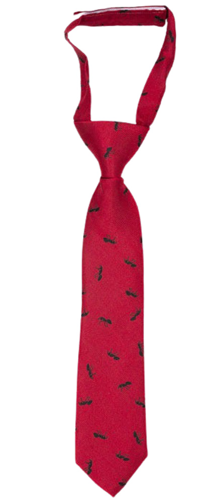 ANTBARON Red corbata pequeña pre-atada niño