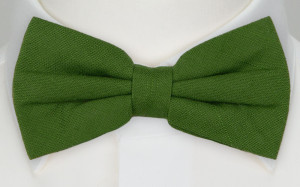 BASKETVEIL Green pajarita