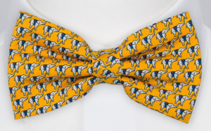 BOCCAGLIO Yellow pajarita