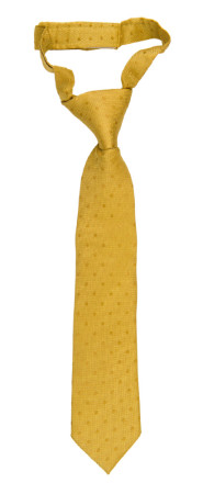 BRUDGUM Gold corbata pequeña pre-atada niño