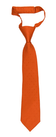 BRUDGUM Orange corbata pequeña pre-atada niño