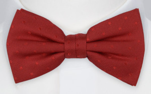 BRUDGUM Red pajarita