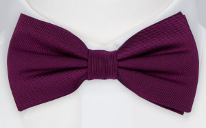 DIGGIDY AUBERGINE pajarita