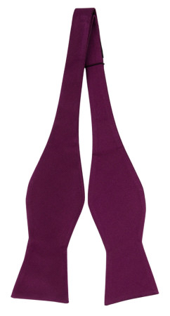 DIGGIDY AUBERGINE pajarita sin atar