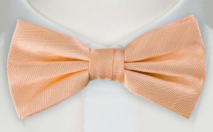 JAGGED Apricot pajarita