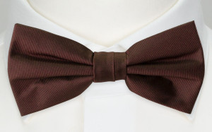 SOLID Brown pajarita