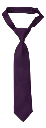 SOLID Dark purple corbata pequeña pre-atada niño