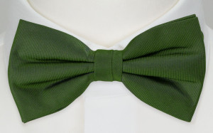 SOLID Green pajarita para niños