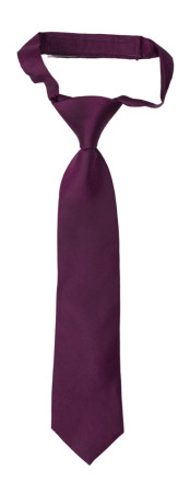 SOLID Magenta corbata pequeña pre-atada niño