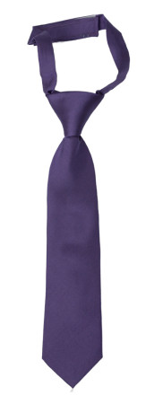 SOLID Purple corbata pequeña pre-atada niño