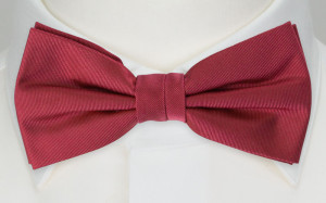 SOLID Raspberry pajarita niño