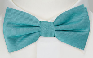 SOLID Turquoise pajarita niño