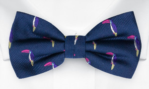 TOUCANNON Blue pajarita