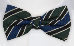 LINED UP GREEN BLUE pajarita