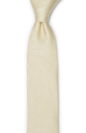 ORNATE Champagne corbata para niños medianos