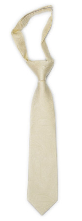 ORNATE Champagne corbata pequeña pre-atada niño