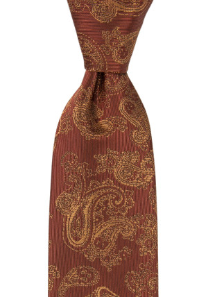 RAJRAJ CINNAMON corbata