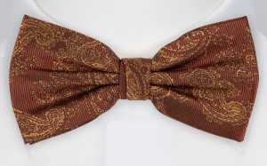 RAJRAJ CINNAMON pajarita