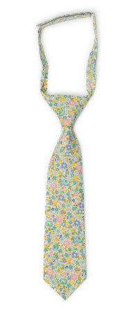 ROSERIDDLER Turquoise corbata pequeña pre-atada niño