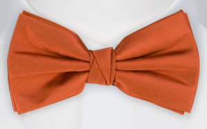 SATIN BRICK pajarita