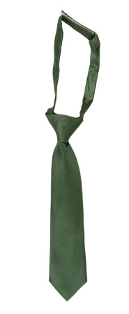 SATIN DARK SAGE corbata pequeña pre-atada niño