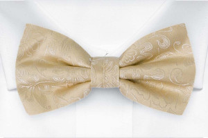 SAVETHEDATE Champagne pajarita