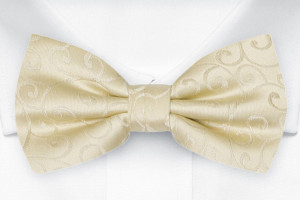 SNAZZY Champagne pajarita