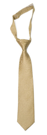 SNAZZY Gold corbata pequeña pre-atada niño