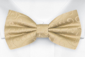 SNAZZY Gold pajarita para niños
