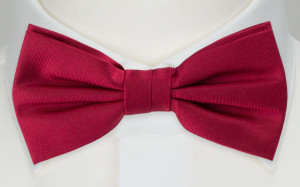 SOLID Fuchsia pajarita