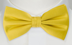 SOLID Lemon pajarita