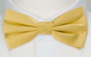 SOLID Light yellow pajarita