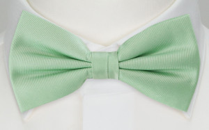 SOLID Pastel green pajarita