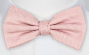 Solid Powder Pink pajarita