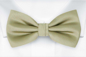 SOLID Sage green pajarita