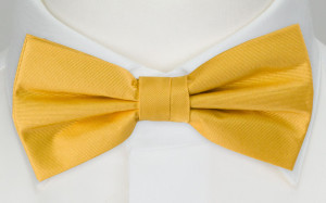 SOLID Yellow pajarita