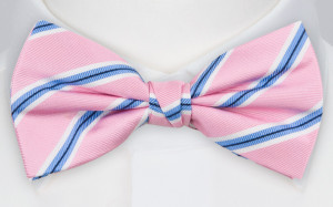 STRAIGHTONSTRIPE PINK pajarita