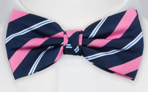 STRIPEFORWARD PINK pajarita
